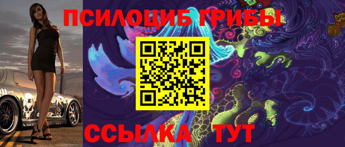Псилоцибиновые грибы MAGIC MUSHROOMS  Вход с VPN  Ростов Великий 